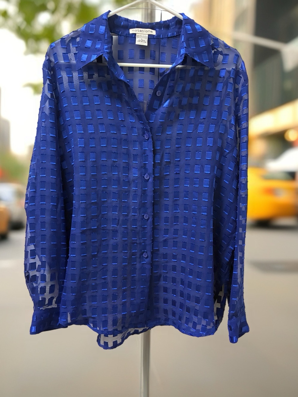 Notations Blue Sheer Grid Button-Front Blouse